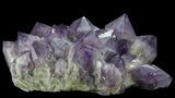 Amethyst Cluster ( lbs) - Massive Points #65011-1
